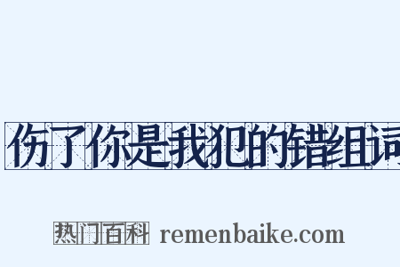 伤了你是我犯的错组词是什么意思的图片